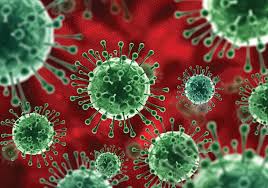 14 fresh Covid19 cases in Kashmir, takes talley to 313