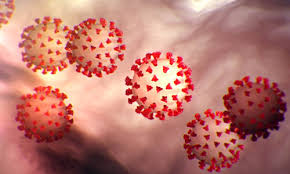 Bandipora emerges covid19 hotspot, administration starts Rapid Antigen Tests