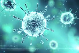 Bulletin on Novel Corona Virus (COVID-19)