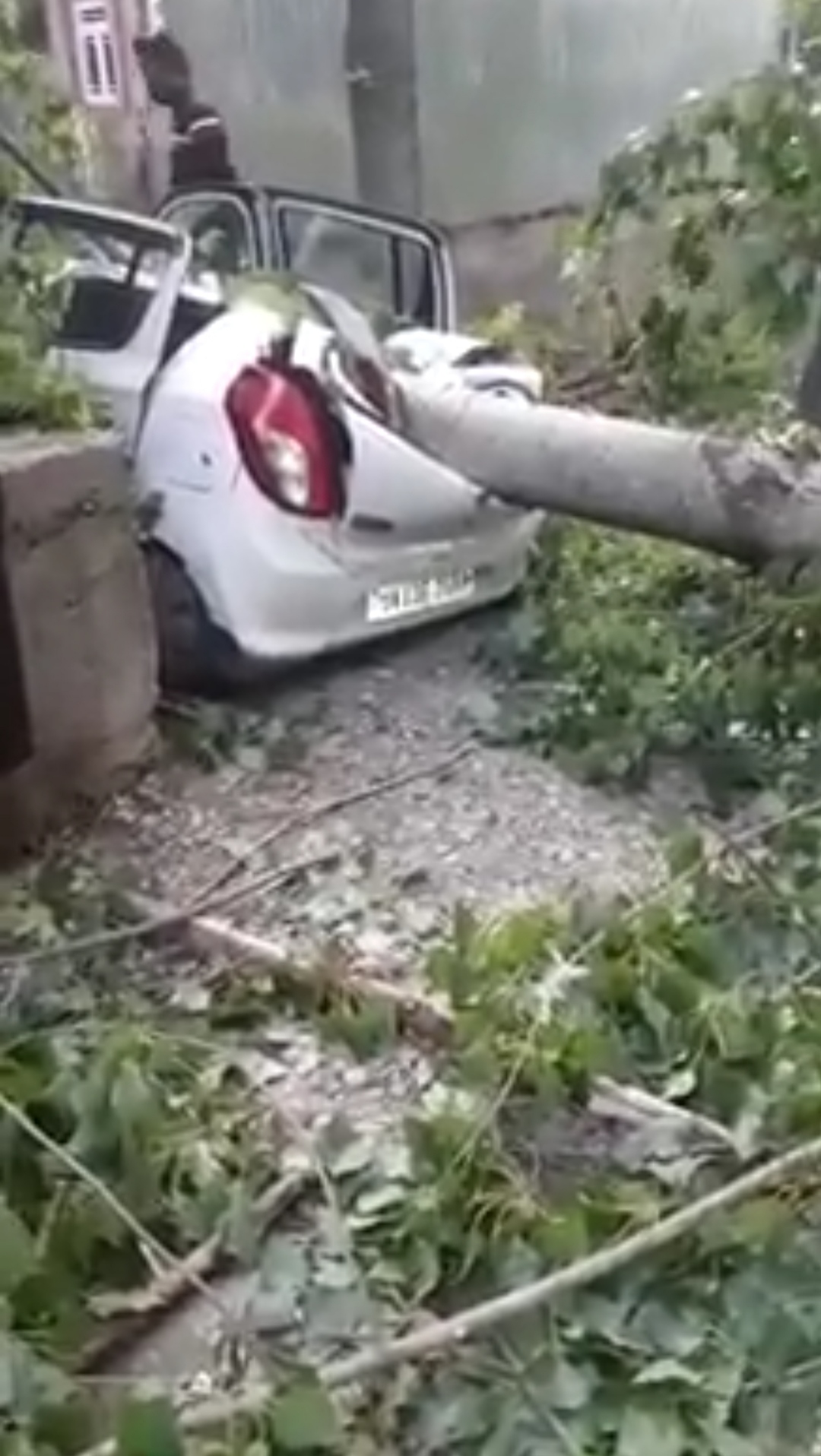 Minor girl among two killed, another injured after strong winds uproot tree in Shopian