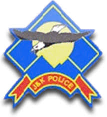 Srinagar police solves theft cases, 2 accused arrested