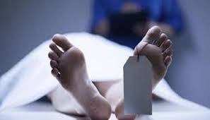 32-year-old labourer killed under wooden log in Lolab forests