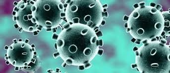 J&K Reports 5 More Deaths Due To Covid-19, Toll 81