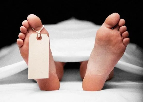 Army man slips to death along LoC in Gurez sector