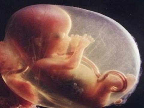 Pregnant woman denied treatment in GMC Baramulla on the context of awaited Covid-19 report, baby dies inside Womb allege family