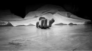 BSNL employee dies while repairing fiber line in Kupwara