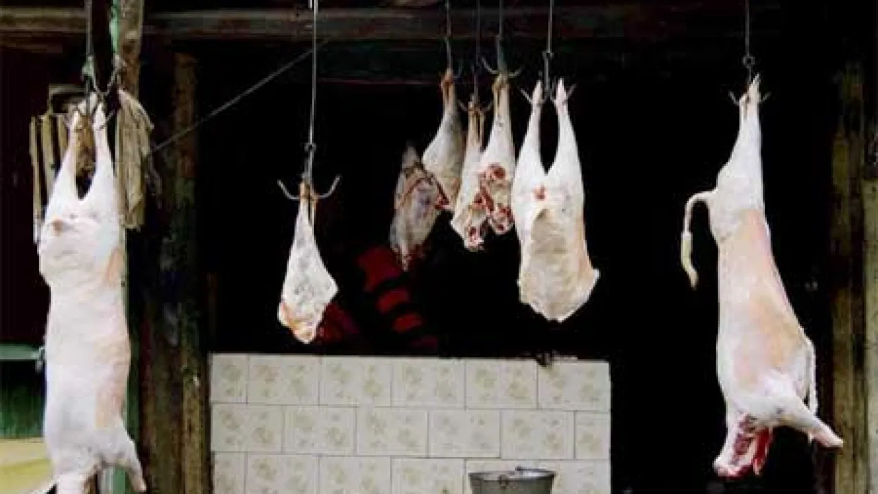 Govt. fixes mutton rate at Rs. 480 per Kg