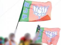BJP Lashes Out at Gupkar Alliance and Congress
