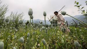 Anti Narcotics Task Force Recovers Afghan Grade Heroine, Opium of worth 6cr in Anantnag