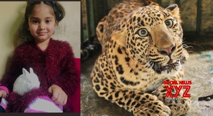 Body of girl killed by leopard found in Ompora