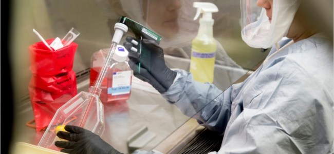 Ladakh sees 23 fresh COVID-19 cases