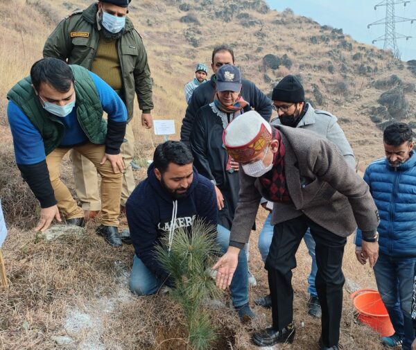 PCC Forests kick starts plantation drive in Dal Catchment