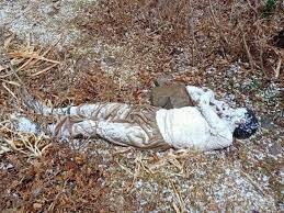 48-year-old man’s body found in Reasi