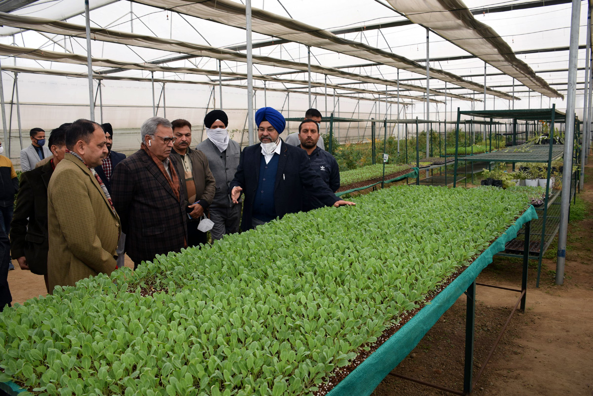 Farooq Khan inspects high tech agriculture interventions at Bablian, Badyal Brahmana