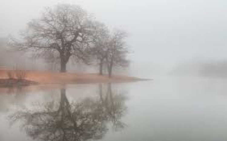 MeT forecasts cloudy weather in J&K, dense fog in Jammu till Jan 29