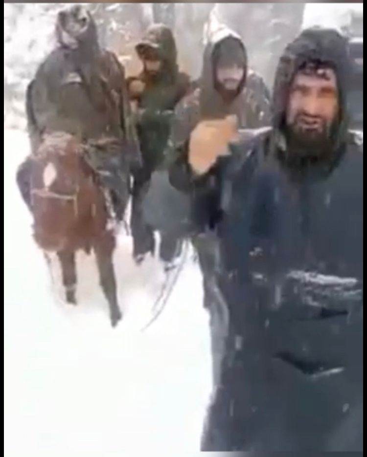 Locals Carry Pregnant Woman On Shoulders, Horse Through Knee-Deep Snow In Kupwara