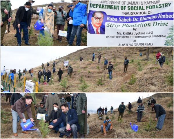 DC Ganderbal kick starts plantation drive under ‘Har Gaon Hariyali’ at Alustang