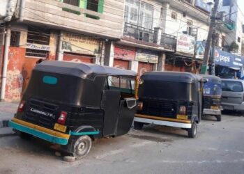 13 Sheep Killed in Suspected Leopard Attack in Qalamabad, Handwara