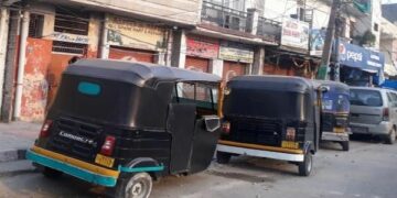 13 Sheep Killed in Suspected Leopard Attack in Qalamabad, Handwara