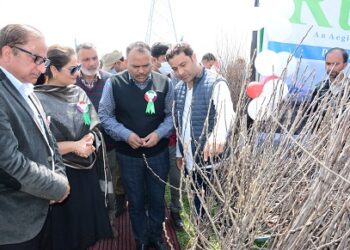 Spring Blossom Festival begins at Center of Excellence, Zawoora