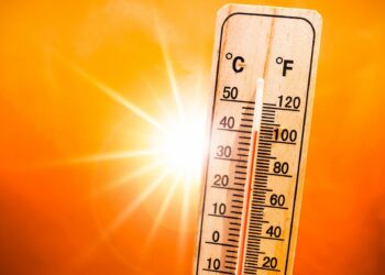 Temperature Stays Above Normal In Kashmir
