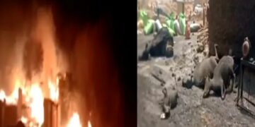 9 children die, 20 injured in fire incident in Pak’s Dadu
