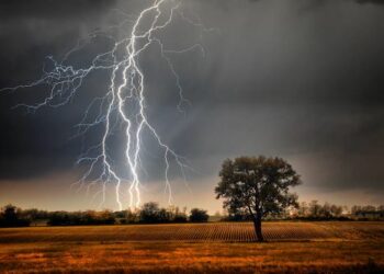 Lightning strikes Botanical garden, 5 injured