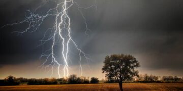 Lightning strikes Botanical garden, 5 injured