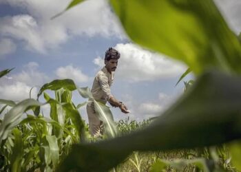 Govt Forms UTLAC With Goal To ‘Double’ Contribution Of Agri-GDP In Next 5 Years