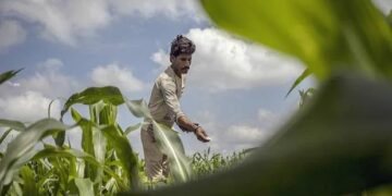 Govt Forms UTLAC With Goal To ‘Double’ Contribution Of Agri-GDP In Next 5 Years