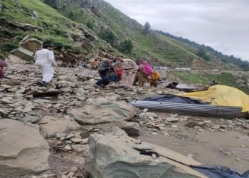80 sheep, goats killed in landslide in Banihal  
