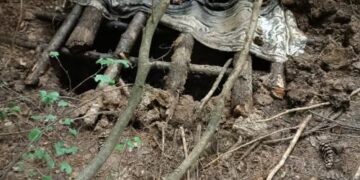 Militant Hideout Busted In Baramulla