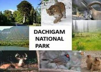 Wildlife Warden Seeks Bar On Public Entry In Dachigam Park  