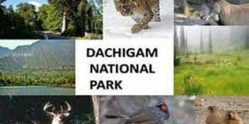 Wildlife Warden Seeks Bar On Public Entry In Dachigam Park