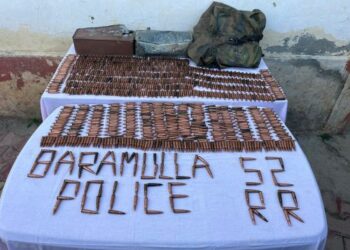 1470 AK Rifle Rounds Recovered In Baramulla: Police