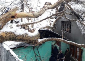 2 houses damaged after Chinar tree branch falls on them in Uri