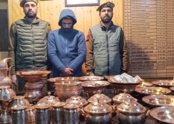 Police Solve Theft Case in Srinagar, Accused Arrested Within Hours