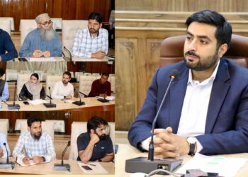 Deputy Commissioner Srinagar