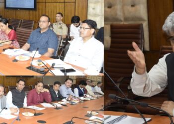 CS for Making Cyber Security Audit of Websites a Time-Bound Process