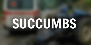 Woman Injured in Parimpora Srinagar Accident Succumbs
