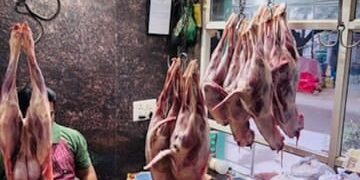 Punjab Govt Appoints Nodal Officers to ease cattle trade; Kashmir Mutton Dealers Call off Strike