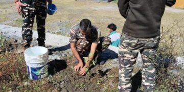 Tree Plantation Drive Held at Sewa Bharti Hostel in Kalguni, Bhalessa.