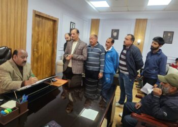 Deputy CM meets delegations; emphasizes prompt redress of public grievances