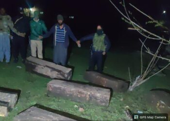 Police Foil Timber Smuggling Bid In Pulwama; 02 Arrested