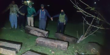 Police Foil Timber Smuggling Bid In Pulwama; 02 Arrested