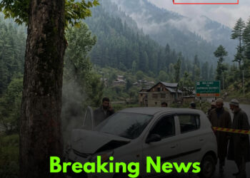 Man Killed as Car Hits Tree in North Kashmir’s Kupwara