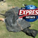 Youth Killed in Bike Accident at Migrant Colony Vessu